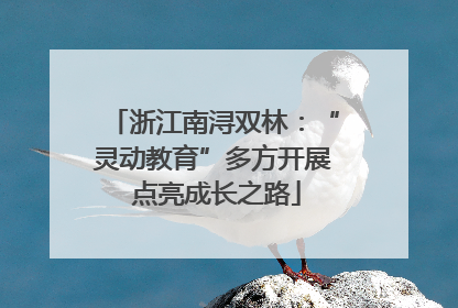 浙江南浔双林：“灵动教育”多方开展 点亮成长之路