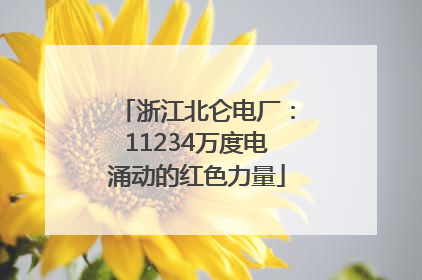 浙江北仑电厂：11234万度电涌动的红色力量
