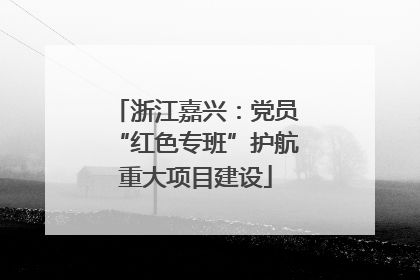 浙江嘉兴：党员“红色专班”护航重大项目建设