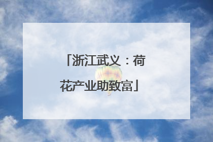 浙江武义：荷花产业助致富