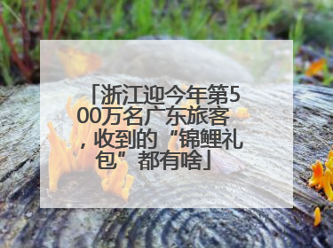 浙江迎今年第500万名广东旅客，收到的“锦鲤礼包”都有啥