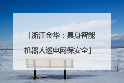 浙江金华：具身智能机器人巡电网保安全