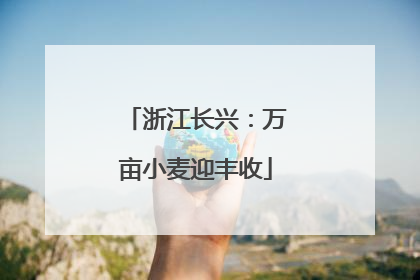 浙江长兴：万亩小麦迎丰收