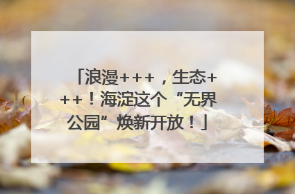 浪漫+++，生态+++！海淀这个“无界公园”焕新开放！