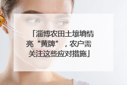 淄博农田土壤墒情亮“黄牌”，农户需关注这些应对措施