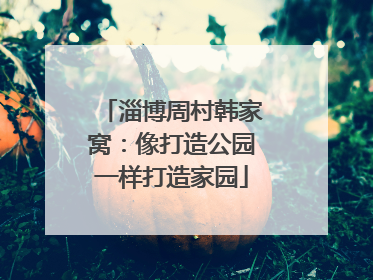 淄博周村韩家窝：像打造公园一样打造家园