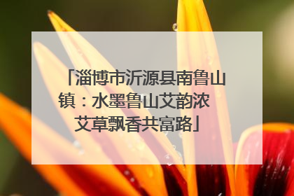 淄博市沂源县南鲁山镇：水墨鲁山艾韵浓 艾草飘香共富路