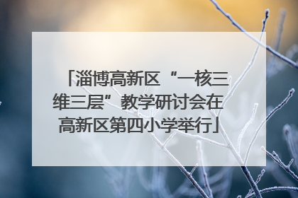 淄博高新区“一核三维三层”教学研讨会在高新区第四小学举行