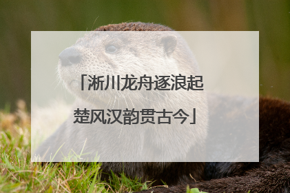 淅川龙舟逐浪起 楚风汉韵贯古今