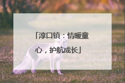 淳口镇：情暖童心，护航成长