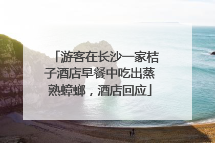 游客在长沙一家桔子酒店早餐中吃出蒸熟蟑螂，酒店回应