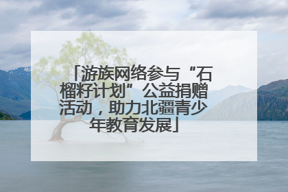 游族网络参与“石榴籽计划”公益捐赠活动，助力北疆青少年教育发展