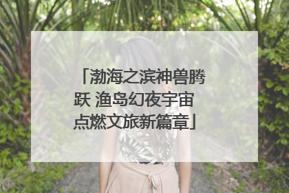 渤海之滨神兽腾跃 渔岛幻夜宇宙点燃文旅新篇章