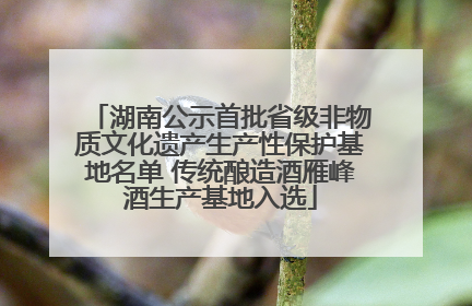 湖南公示首批省级非物质文化遗产生产性保护基地名单 传统酿造酒雁峰酒生产基地入选