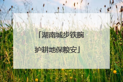 湖南城步铁腕护耕地保粮安