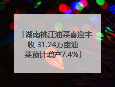 湖南桃江油菜喜迎丰收 31.24万亩油菜预计增产7.4%