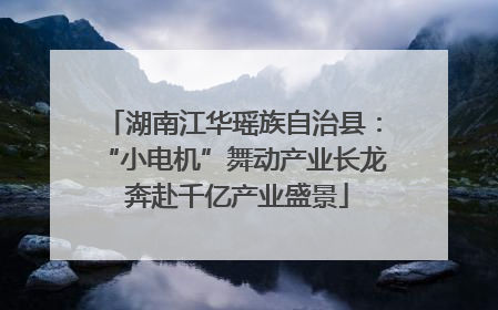 湖南江华瑶族自治县：“小电机”舞动产业长龙 奔赴千亿产业盛景