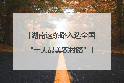 湖南这条路入选全国“十大最美农村路”
