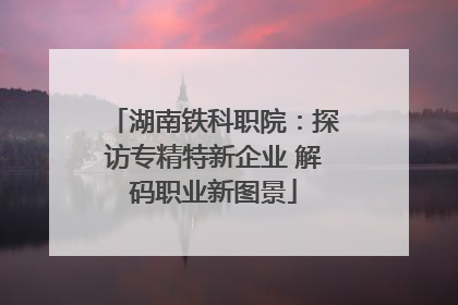 湖南铁科职院：探访专精特新企业 解码职业新图景