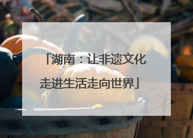 湖南：让非遗文化走进生活走向世界