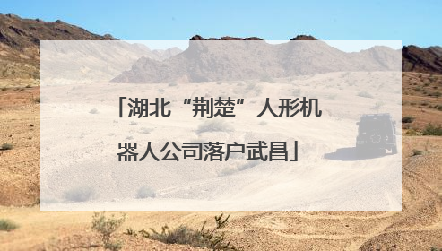 湖北“荆楚”人形机器人公司落户武昌