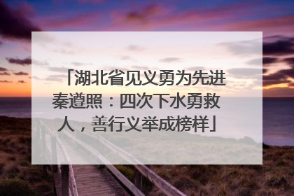 湖北省见义勇为先进秦遵照：四次下水勇救人，善行义举成榜样
