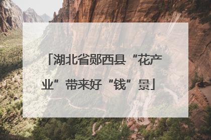 湖北省郧西县“花产业”带来好“钱”景