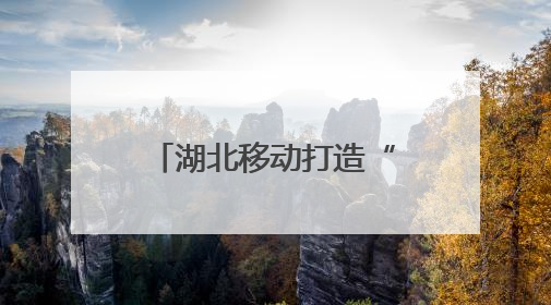湖北移动打造“AI数字哨兵”护航长江生态链
