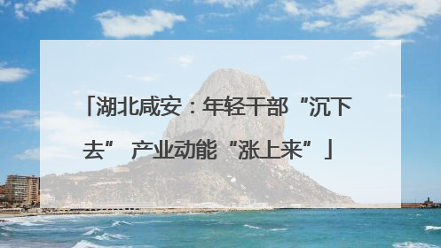 湖北咸安：年轻干部“沉下去” 产业动能“涨上来”