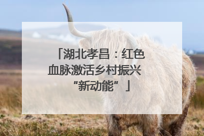湖北孝昌：红色血脉激活乡村振兴“新动能”