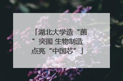 湖北大学造“菌”突围 生物制造点亮“中国芯”