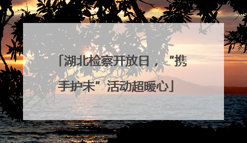 湖北检察开放日，“携手护未”活动超暖心
