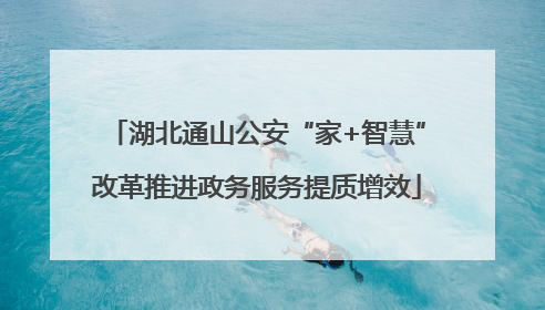 湖北通山公安“家+智慧”改革推进政务服务提质增效