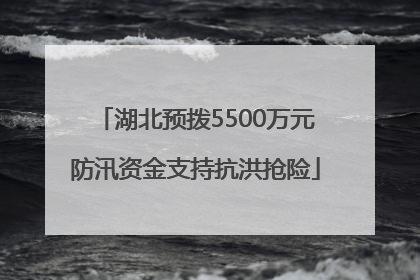湖北预拨5500万元防汛资金支持抗洪抢险