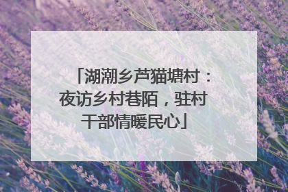 湖潮乡芦猫塘村：夜访乡村巷陌，驻村干部情暖民心