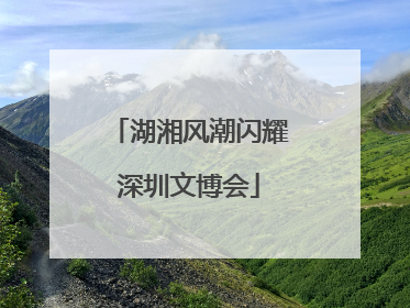 湖湘风潮闪耀深圳文博会
