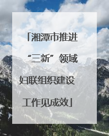 湘潭市推进“三新”领域妇联组织建设工作见成效