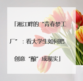 湘江畔的“青春梦工厂”：看大学生如何把创意“酿”成现实