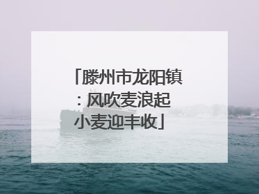 滕州市龙阳镇：风吹麦浪起 小麦迎丰收