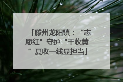 滕州龙阳镇：“志愿红”守护“丰收黄”夏收一线显担当