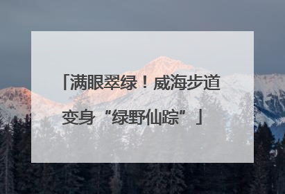 满眼翠绿！威海步道变身“绿野仙踪”
