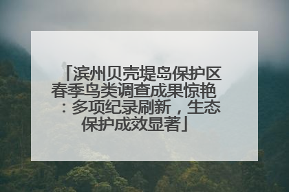 滨州贝壳堤岛保护区春季鸟类调查成果惊艳：多项纪录刷新，生态保护成效显著