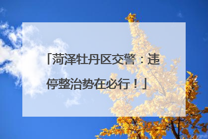 菏泽牡丹区交警：违停整治势在必行！