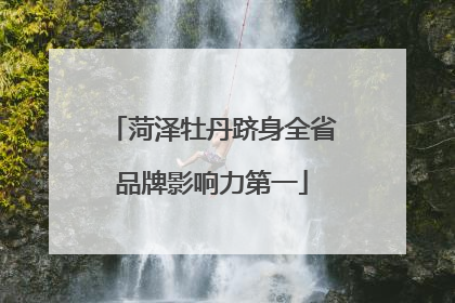 菏泽牡丹跻身全省品牌影响力第一