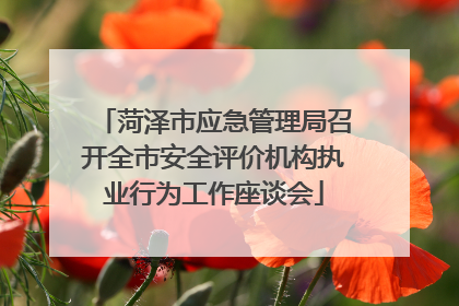 菏泽市应急管理局召开全市安全评价机构执业行为工作座谈会