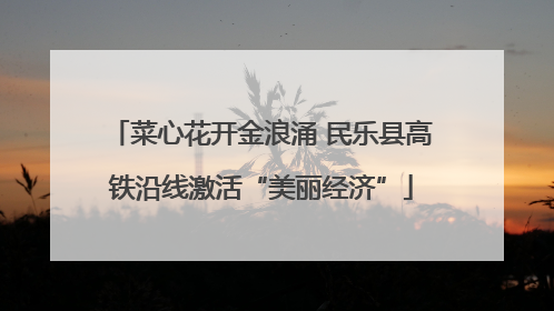 菜心花开金浪涌 民乐县高铁沿线激活“美丽经济”