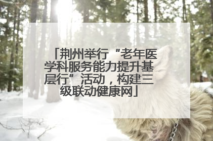 荆州举行“老年医学科服务能力提升基层行”活动，构建三级联动健康网