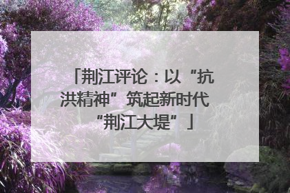 荆江评论：以“抗洪精神”筑起新时代“荆江大堤”