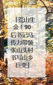 荒山生金！90后书记马传力带领张山头村书写山乡巨变