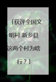 获评全国文明村 新乡县这两个村为啥行？